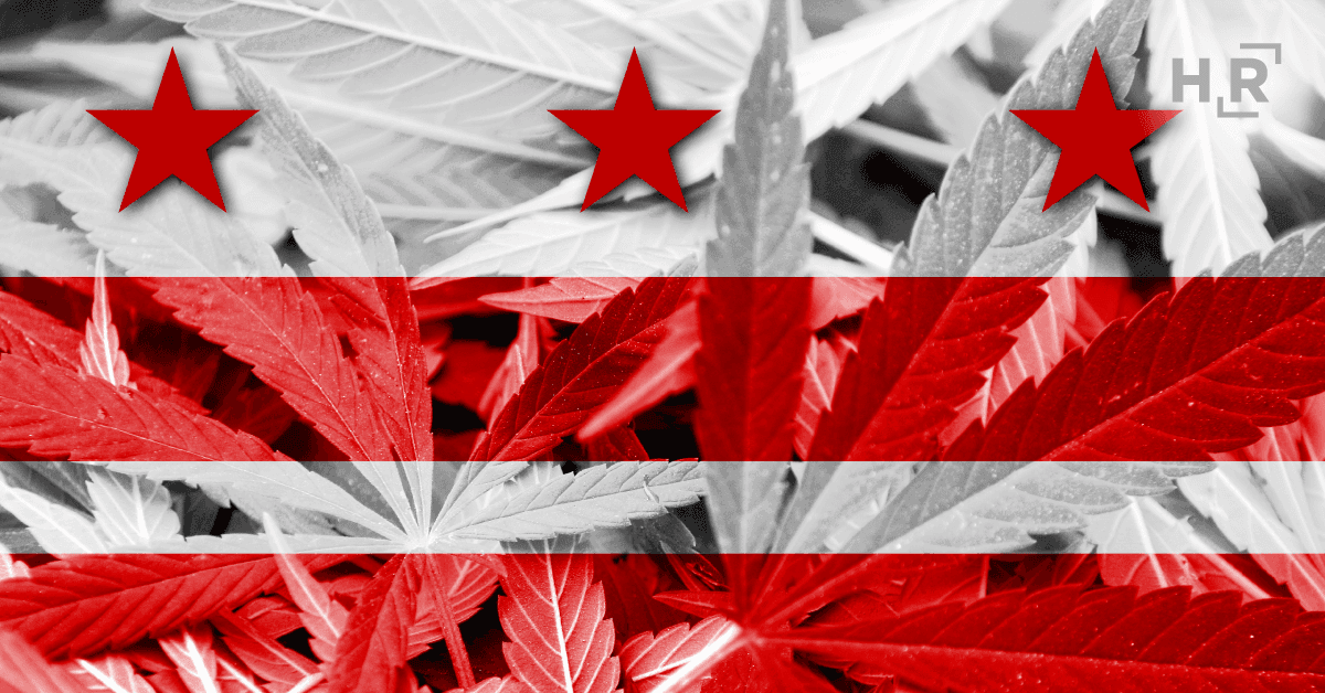 2022-10 -Blog- Marijuana-Users-Offered-Broad-Job-Protections-In-DC
