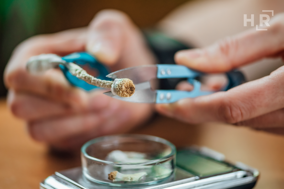 2025-08 -Blog- A-Regulated-Trip-What-New-Mexico’s-Psilocybin-Law-Means-For-Work-