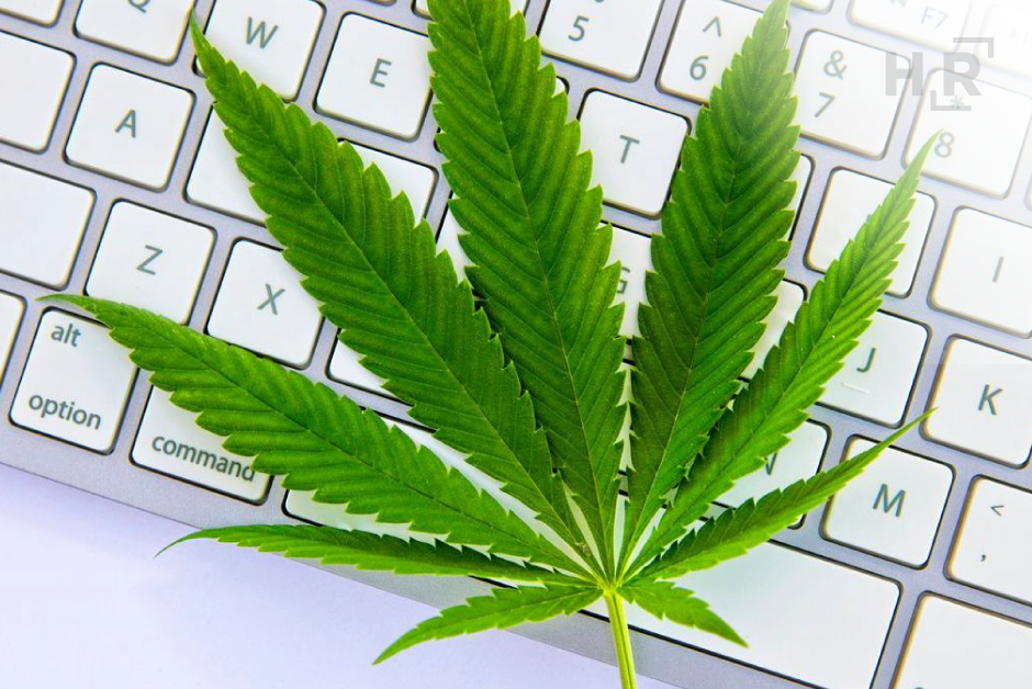 2024-04 -Blog- 2024-Marijuana-Legalization-Review
