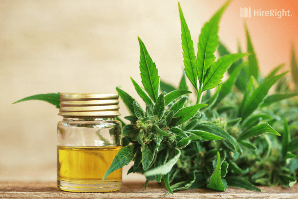 1.17.19 HRblog-CBD
